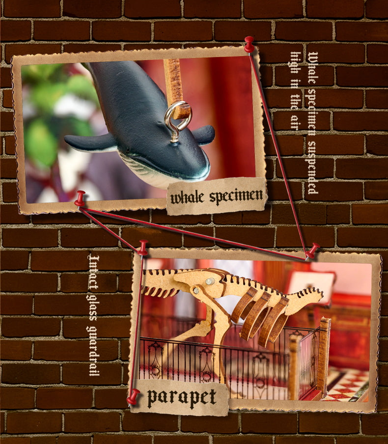 Knowme Booknook series - SL-26 - Museum Mystery