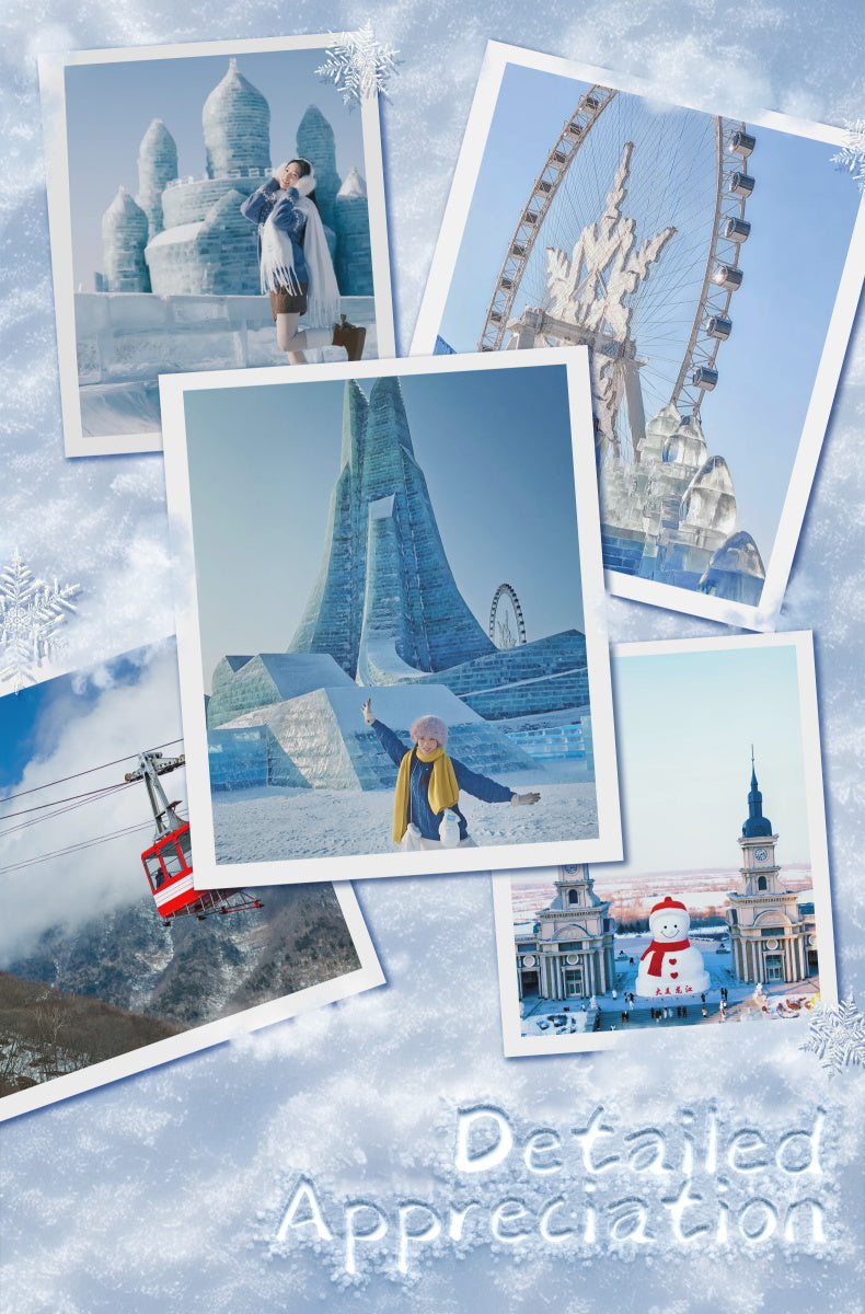 Knowme Booknook series SL-30 The Great Ice World